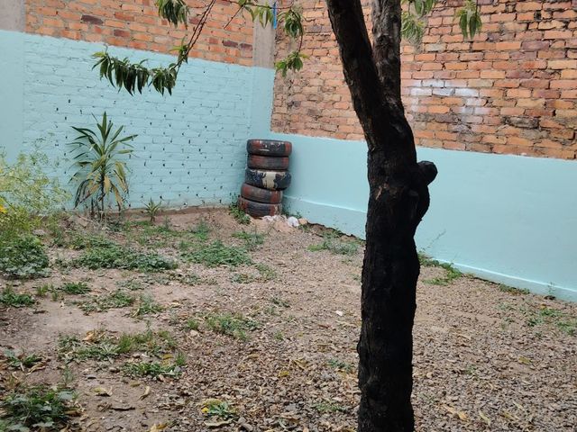 place photo 28