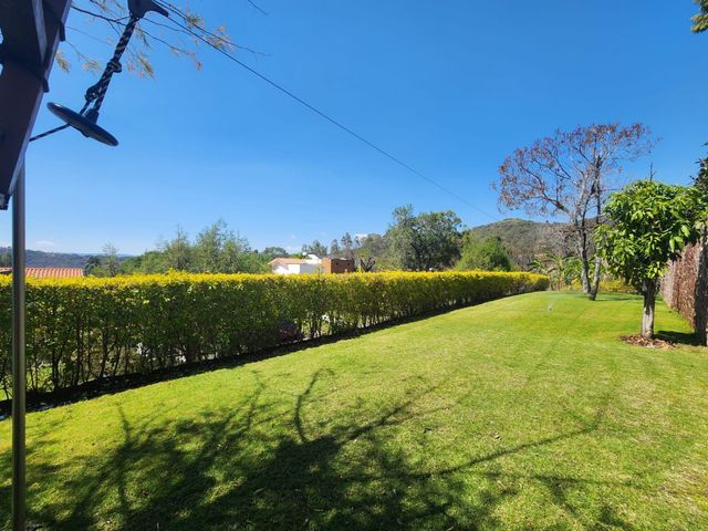 place photo 42