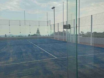 place photo 30