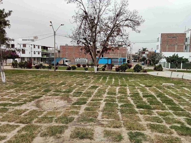 place photo 26