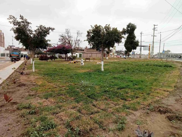 place photo 31