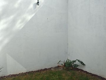 place photo 53