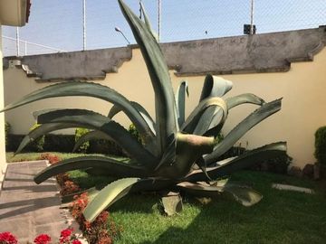 place photo 38