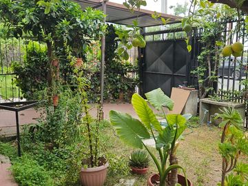 place photo 31