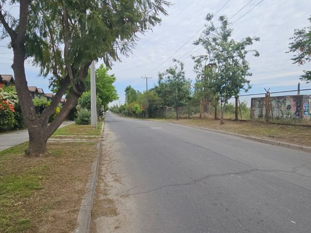 place photo 39