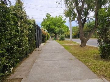 place photo 37