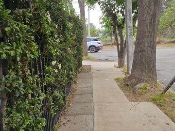 place photo 36