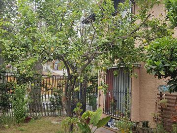 place photo 34