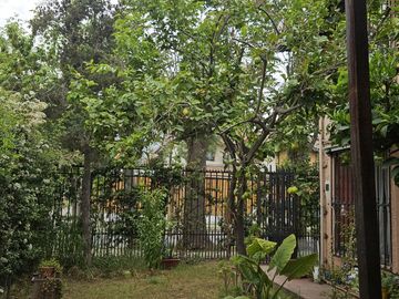 place photo 35