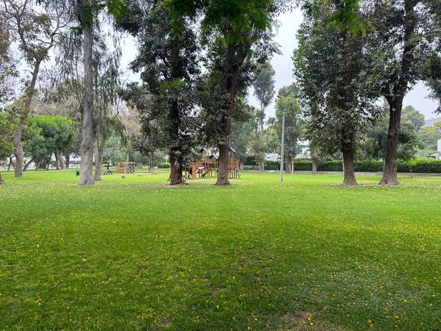 place photo 51