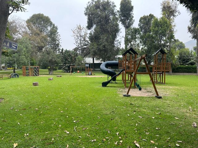 place photo 52