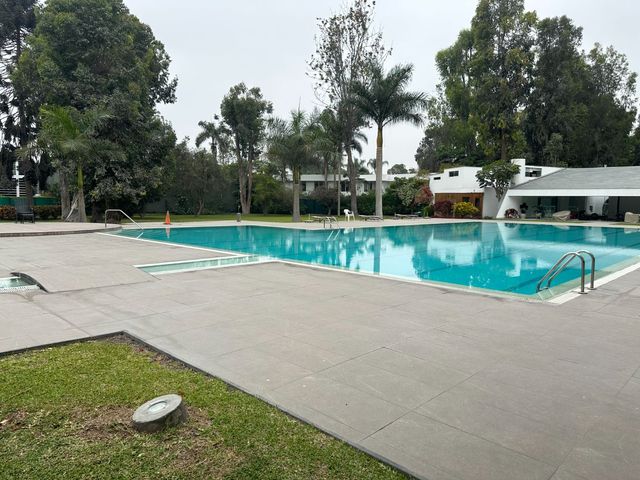 place photo 54