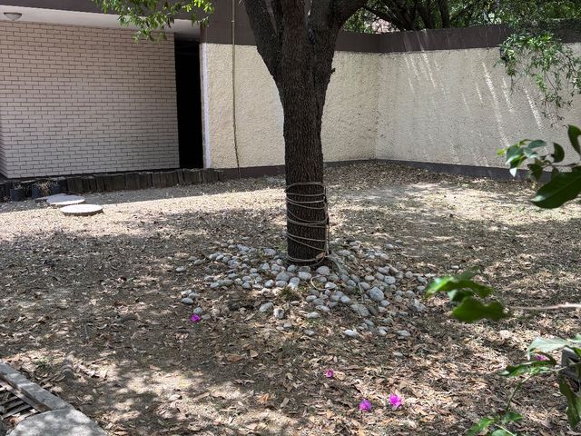 place photo 40