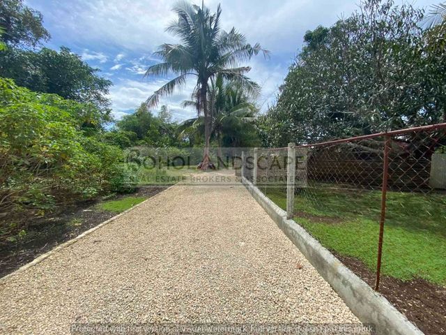 place photo 32