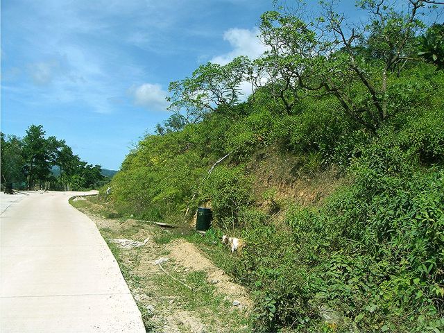place photo 9