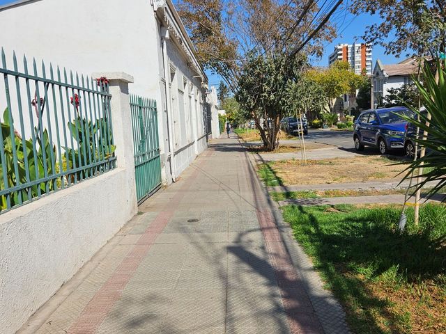 place photo 41