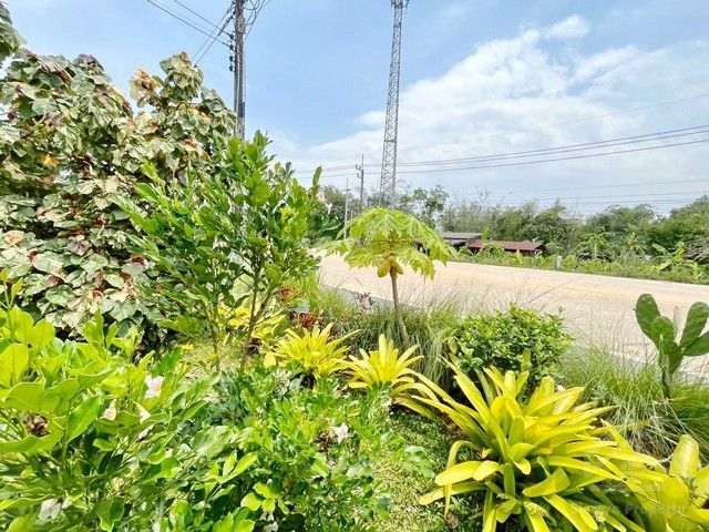 place photo 23