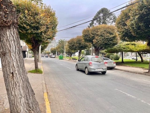 place photo 26