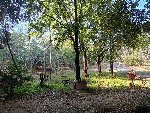 place photo 14