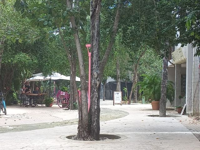place photo 12