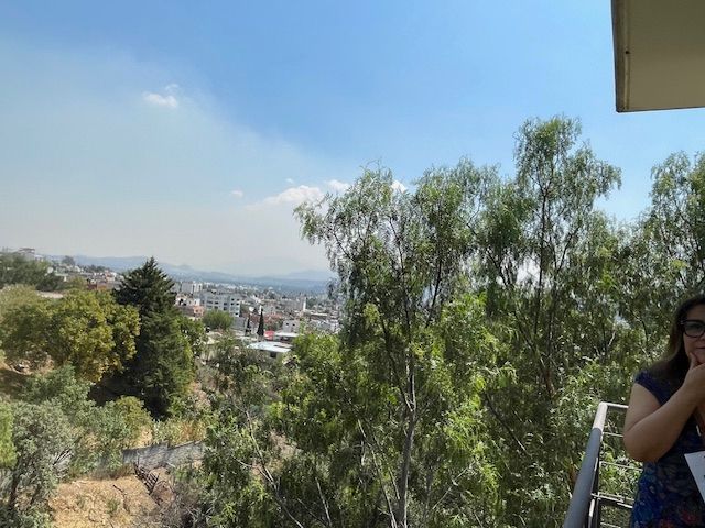 place photo 30