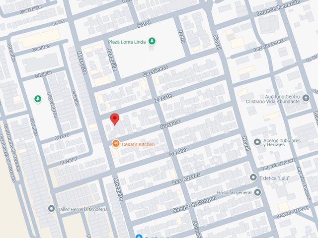 place photo 8