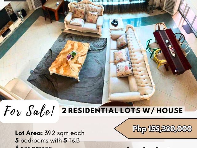 FOR SALE 2 Residentials Lots With House located at Brgy. Sto. Domingo, Quezon City