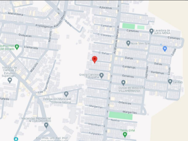 place photo 6