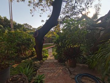 place photo 40