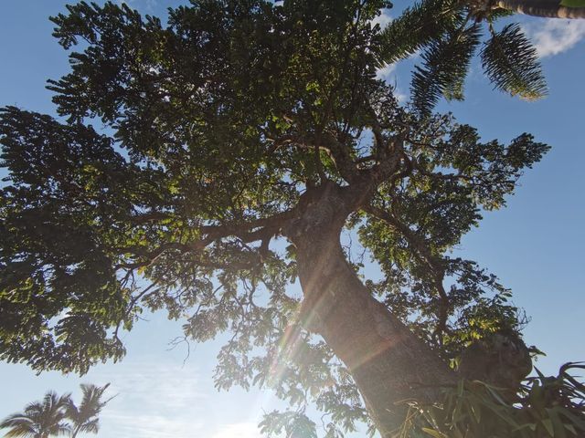 place photo 45
