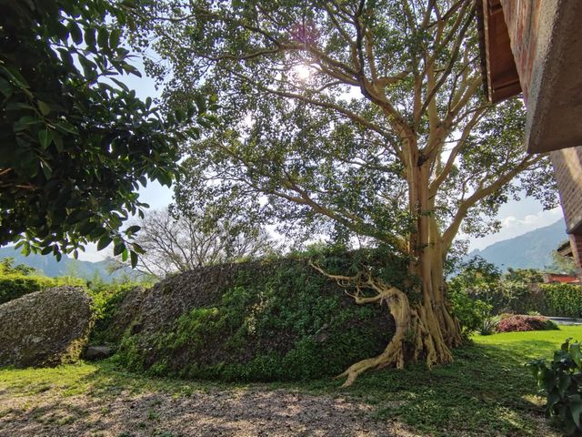 place photo 36