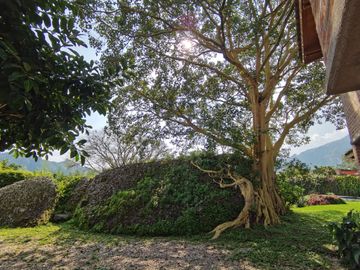 place photo 36