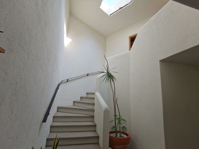place photo 47