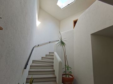 place photo 47