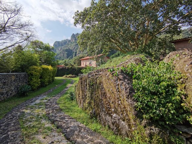 place photo 59