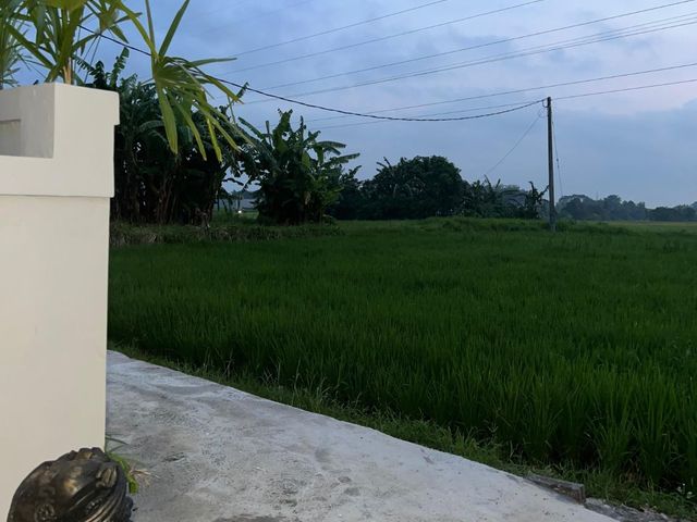 place photo 20