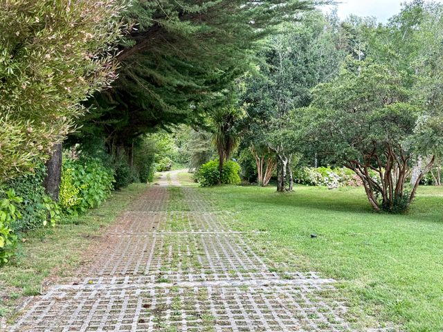 place photo 39