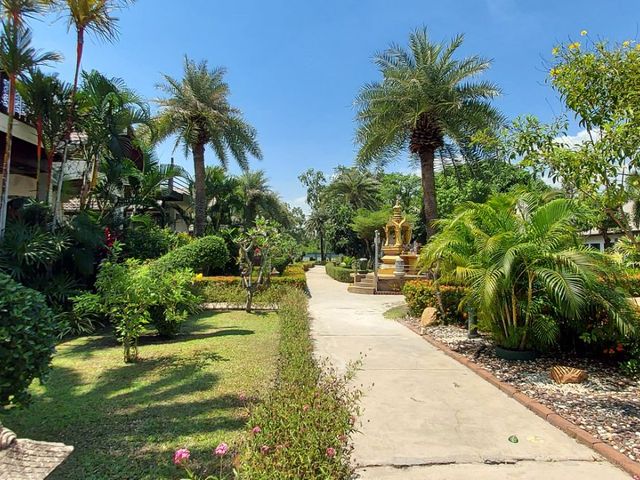 place photo 51