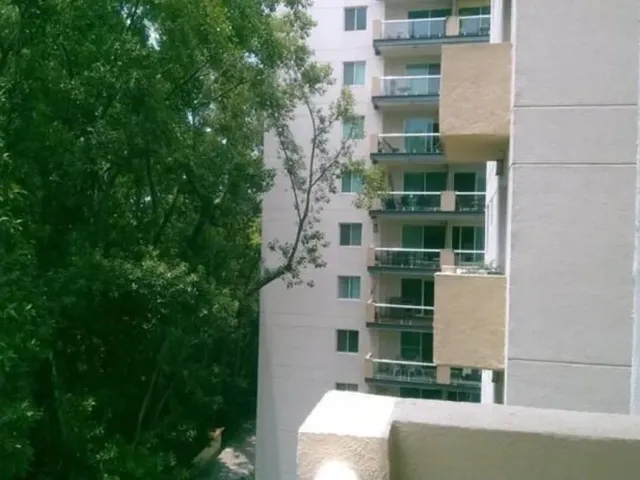 place photo 36