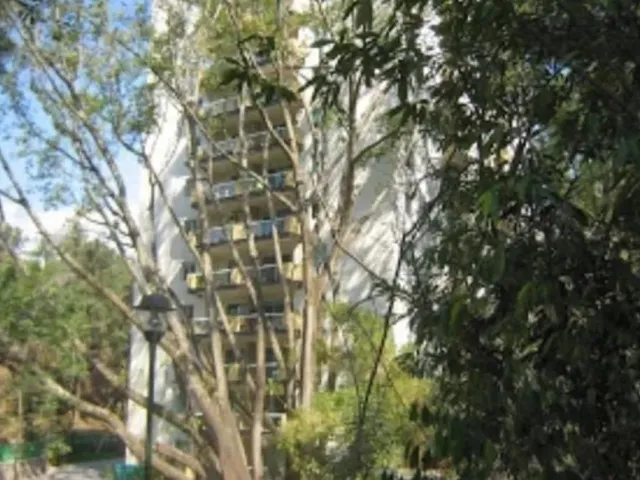 place photo 30