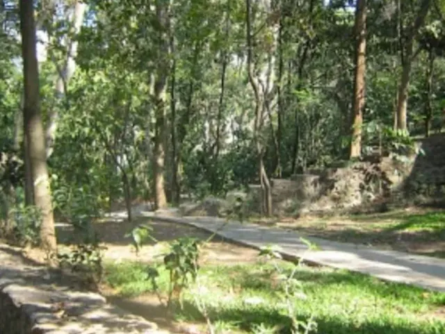 place photo 33