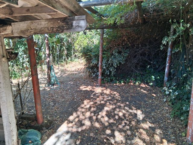 place photo 43
