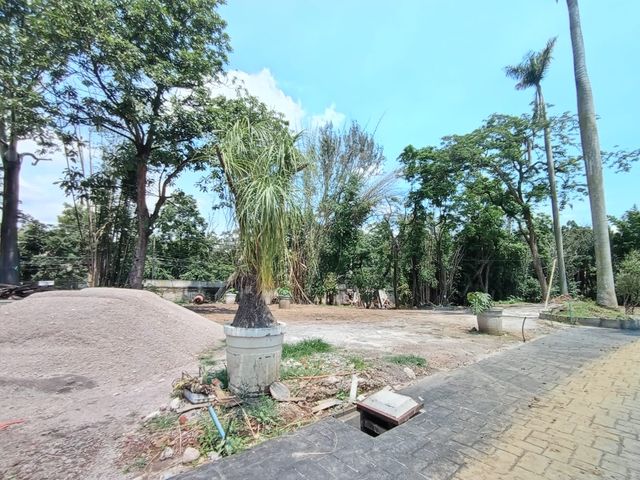 place photo 15