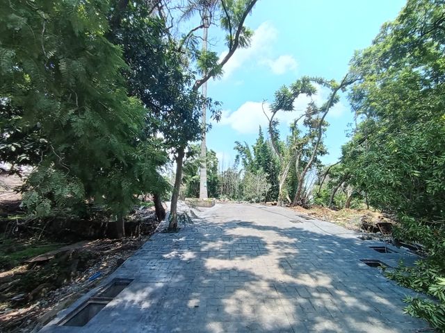 place photo 20