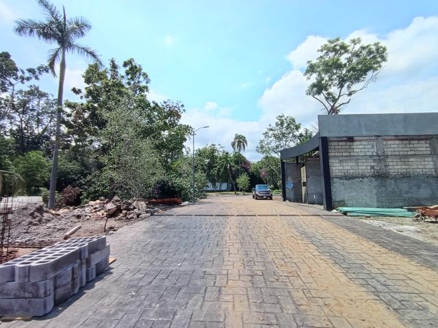 place photo 24