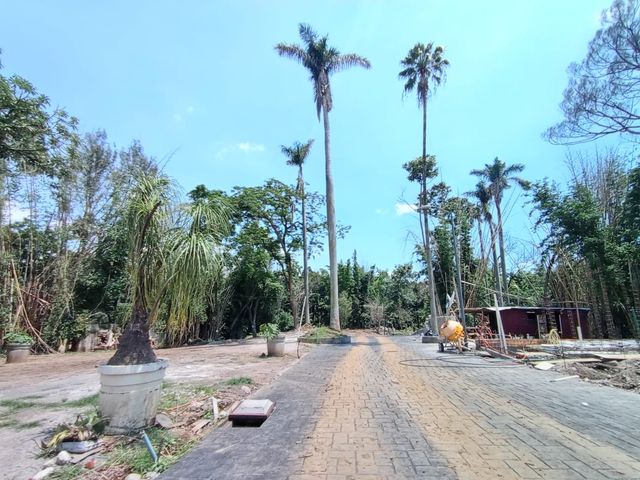 place photo 26