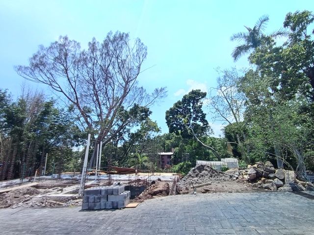 place photo 27