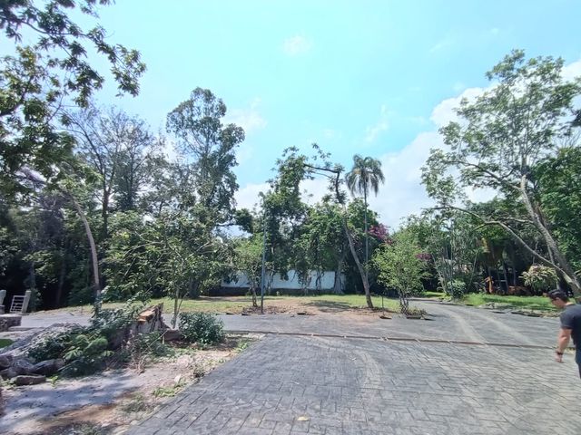 place photo 30