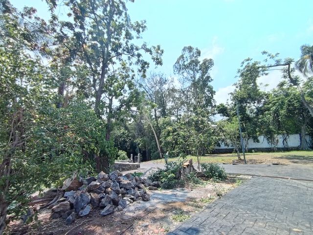 place photo 31