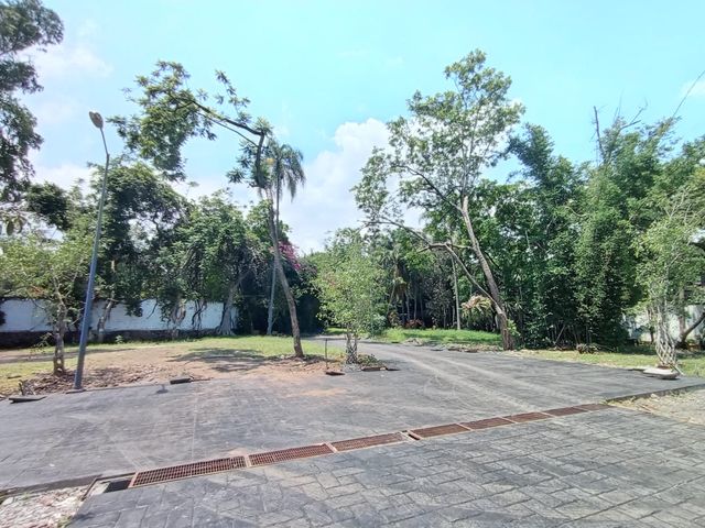 place photo 32